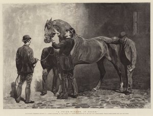 A Prize-Winner, if Sound
